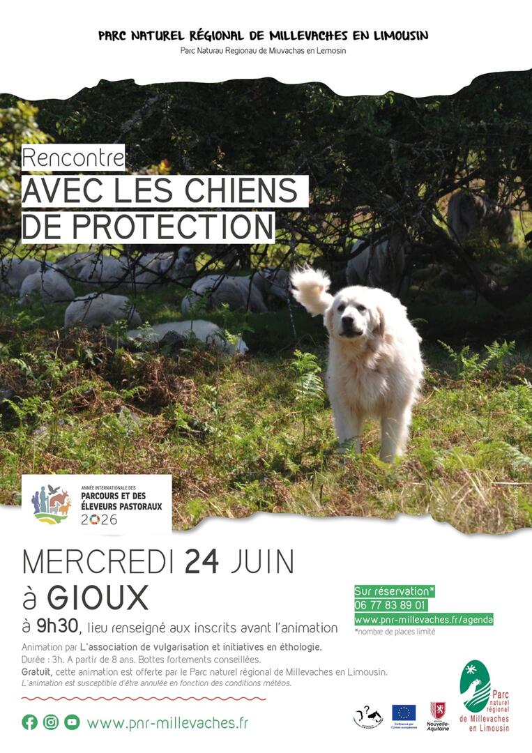 20260624_GIOUX_chiens-de-protection-web