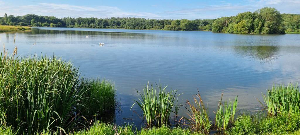 Etang de la Reyberie_1