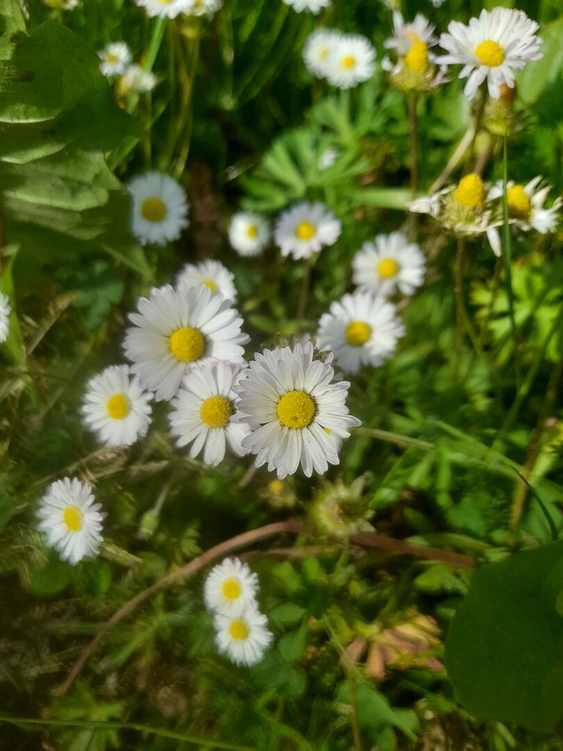 349946021_245068788123964_6284403618152449932_n