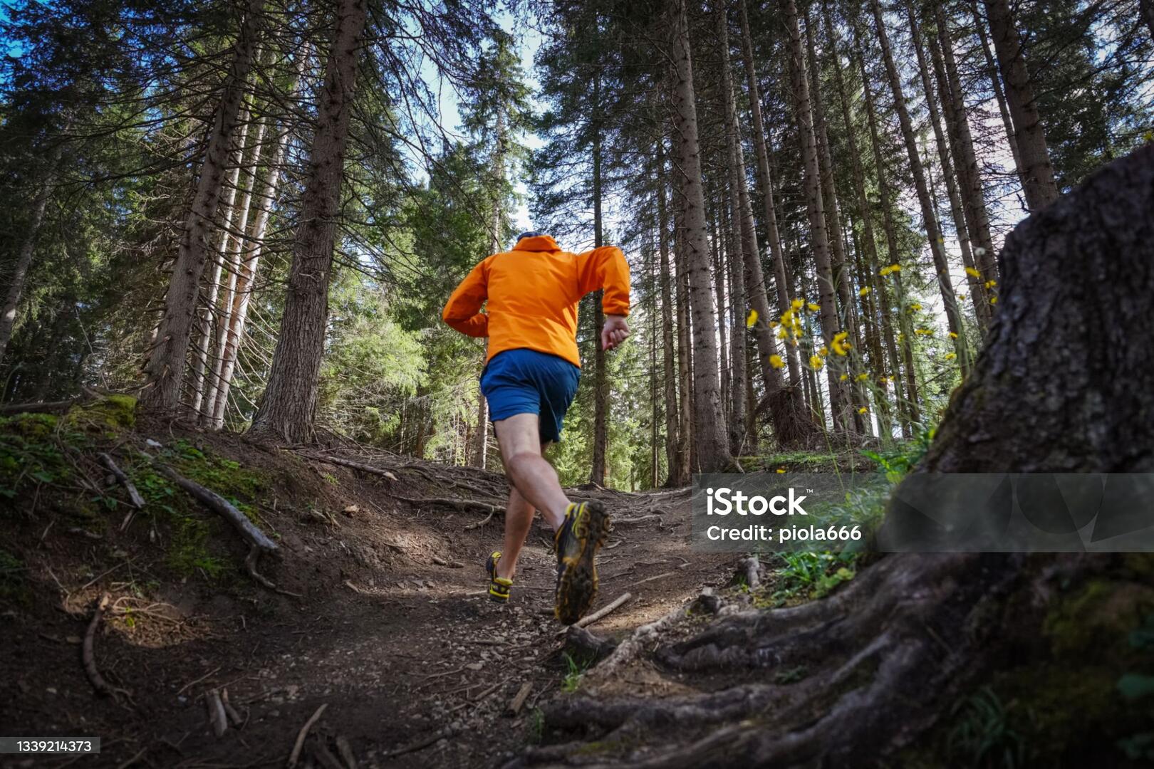 trail