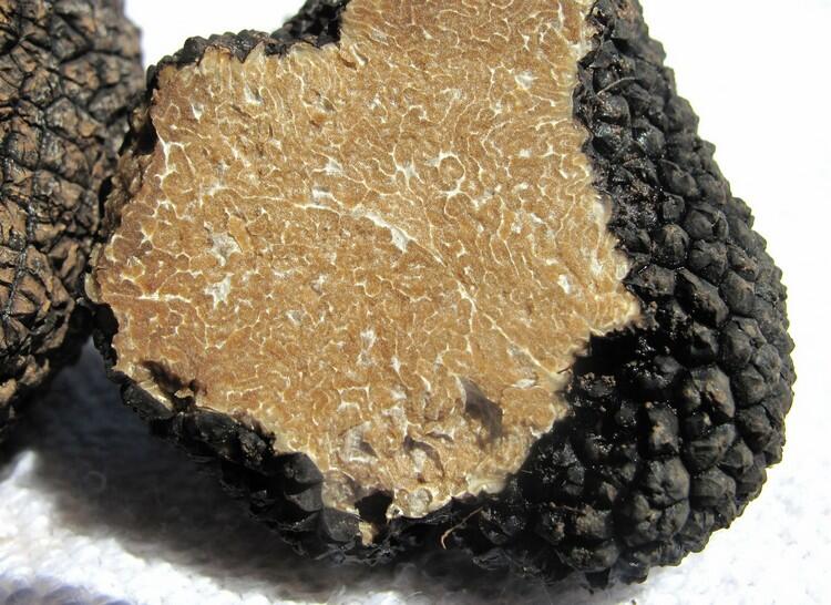 truffle-203031_1920