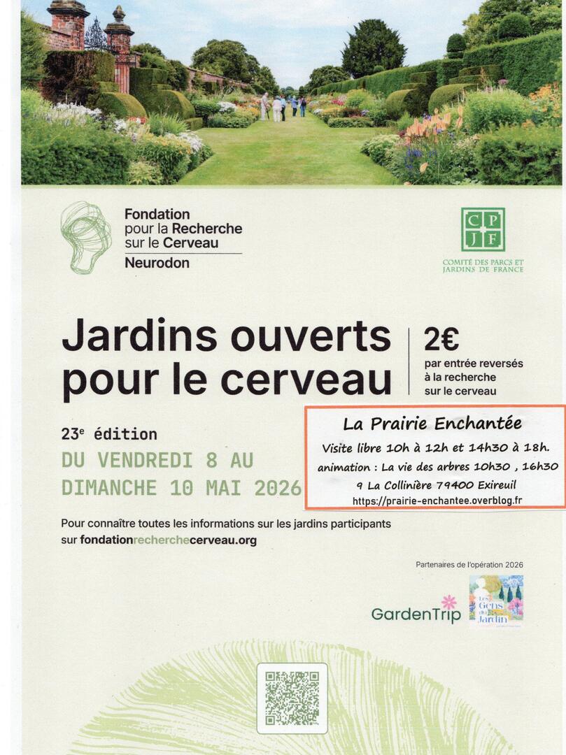 Affiche Neurodon