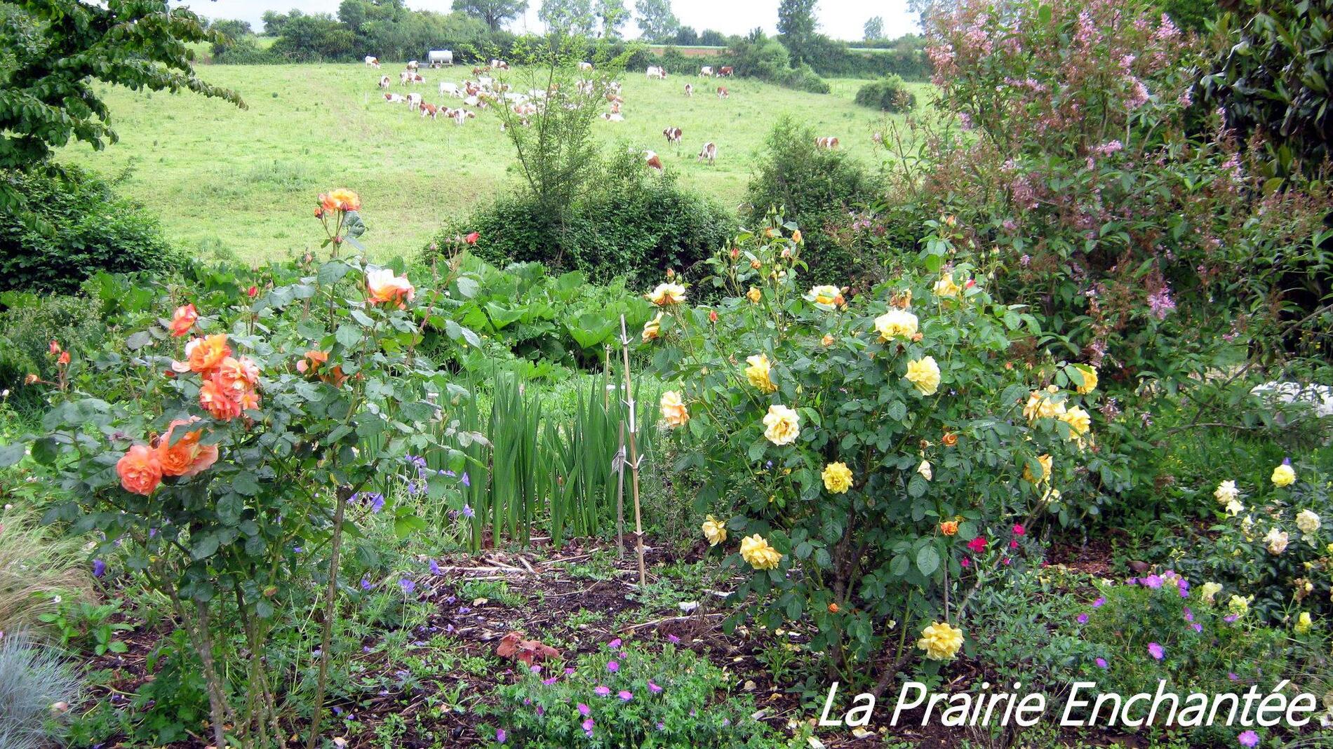 jardin