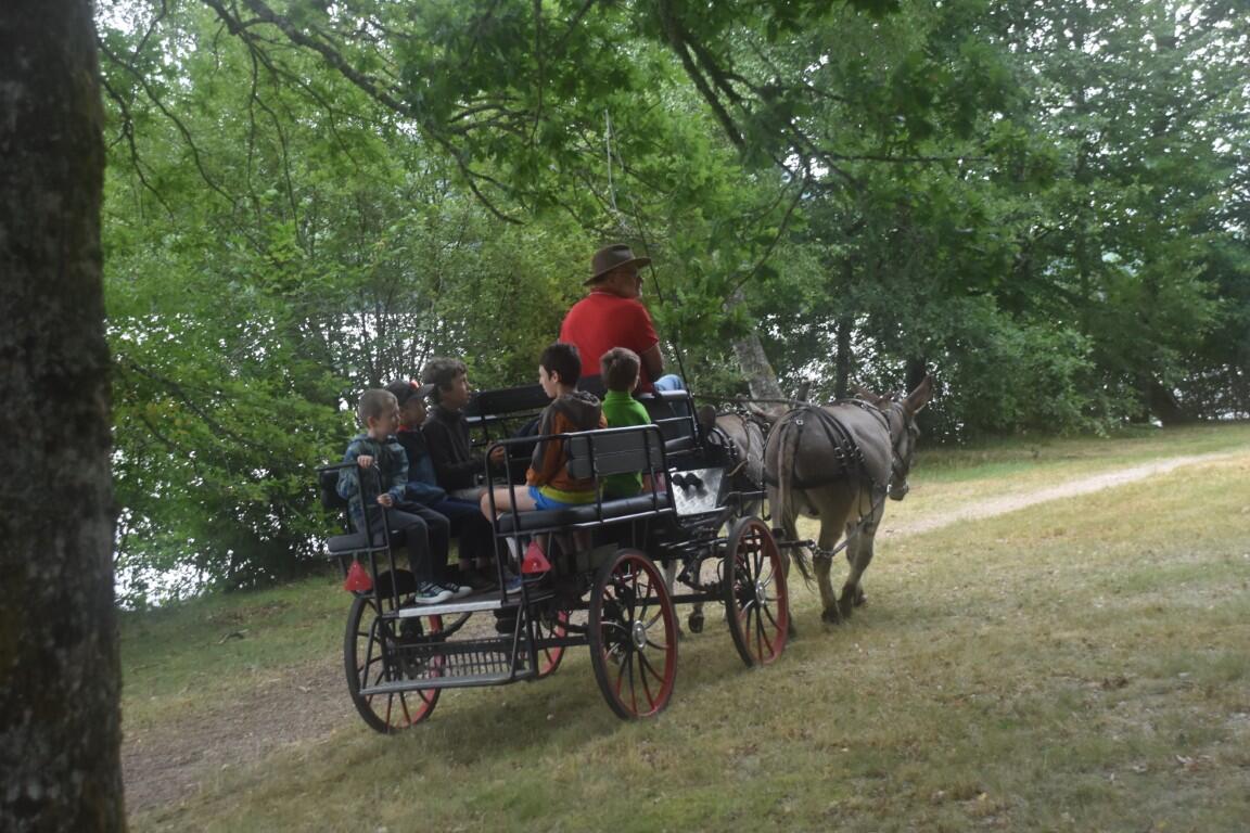 Caléche FM 20 7 25  (3) (Medium)