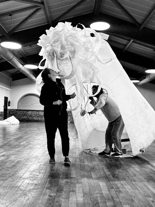 Affiche Compagnie des Quidams