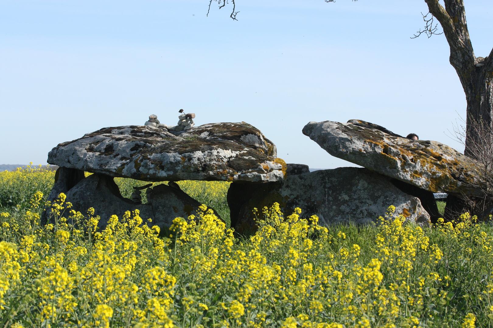 Dolmen de Vaon
