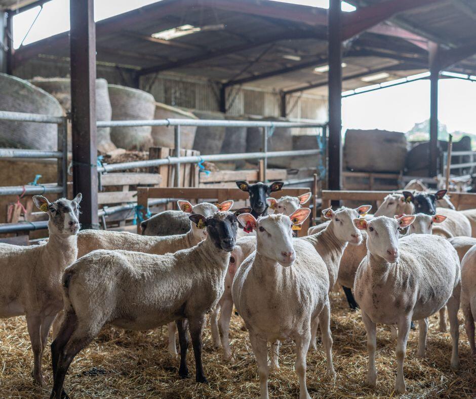 FERME PERIVIER