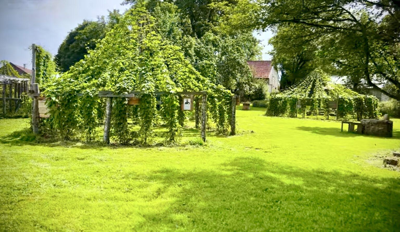 Houblonnière