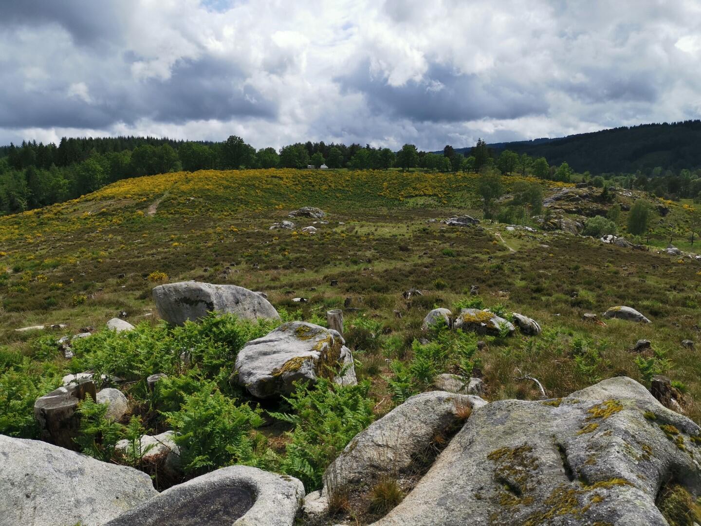 Landes de la Mazure