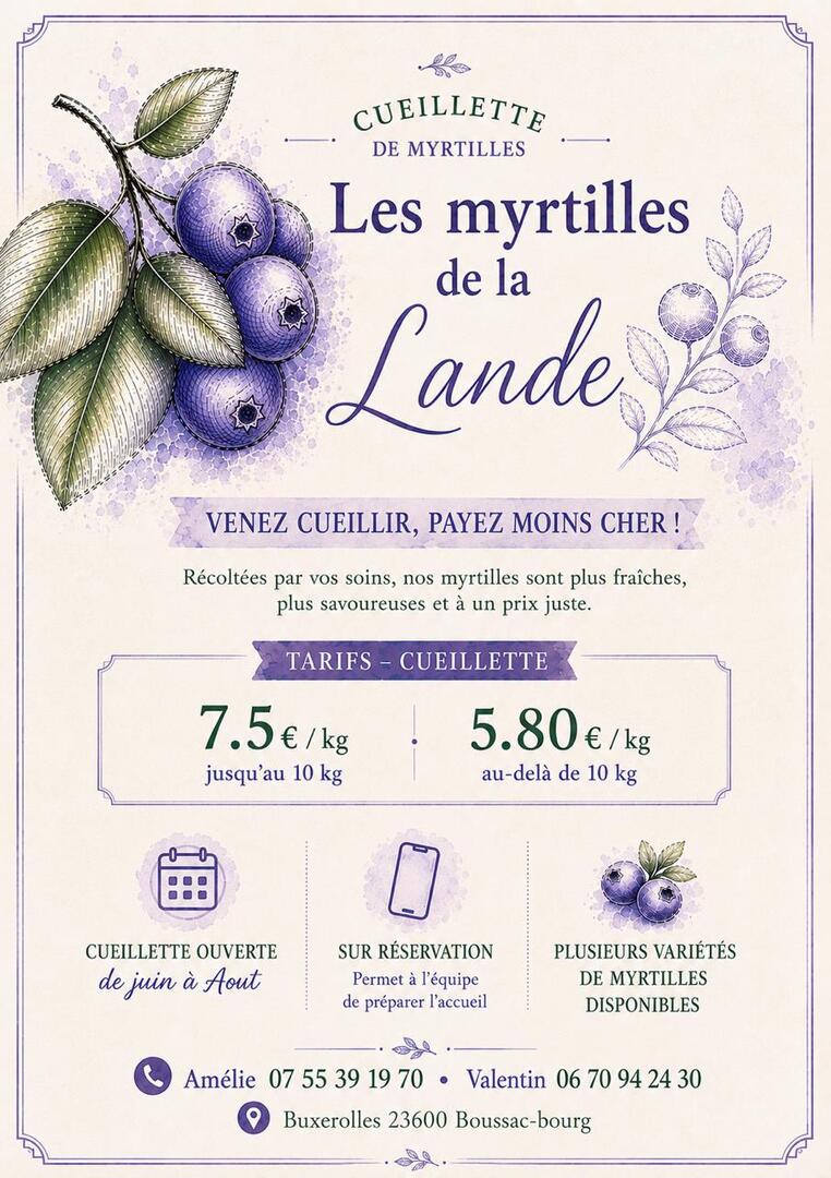 Les myrtilles de la Lande