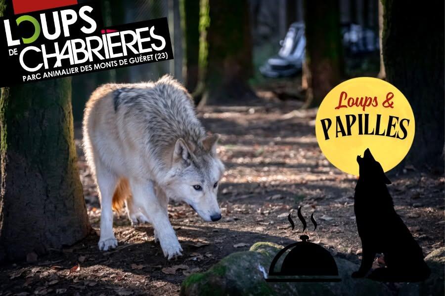 Loups & Papilles