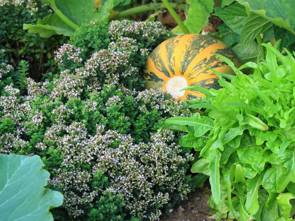 Permaculture