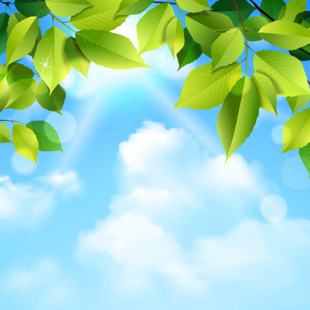 Nature 1