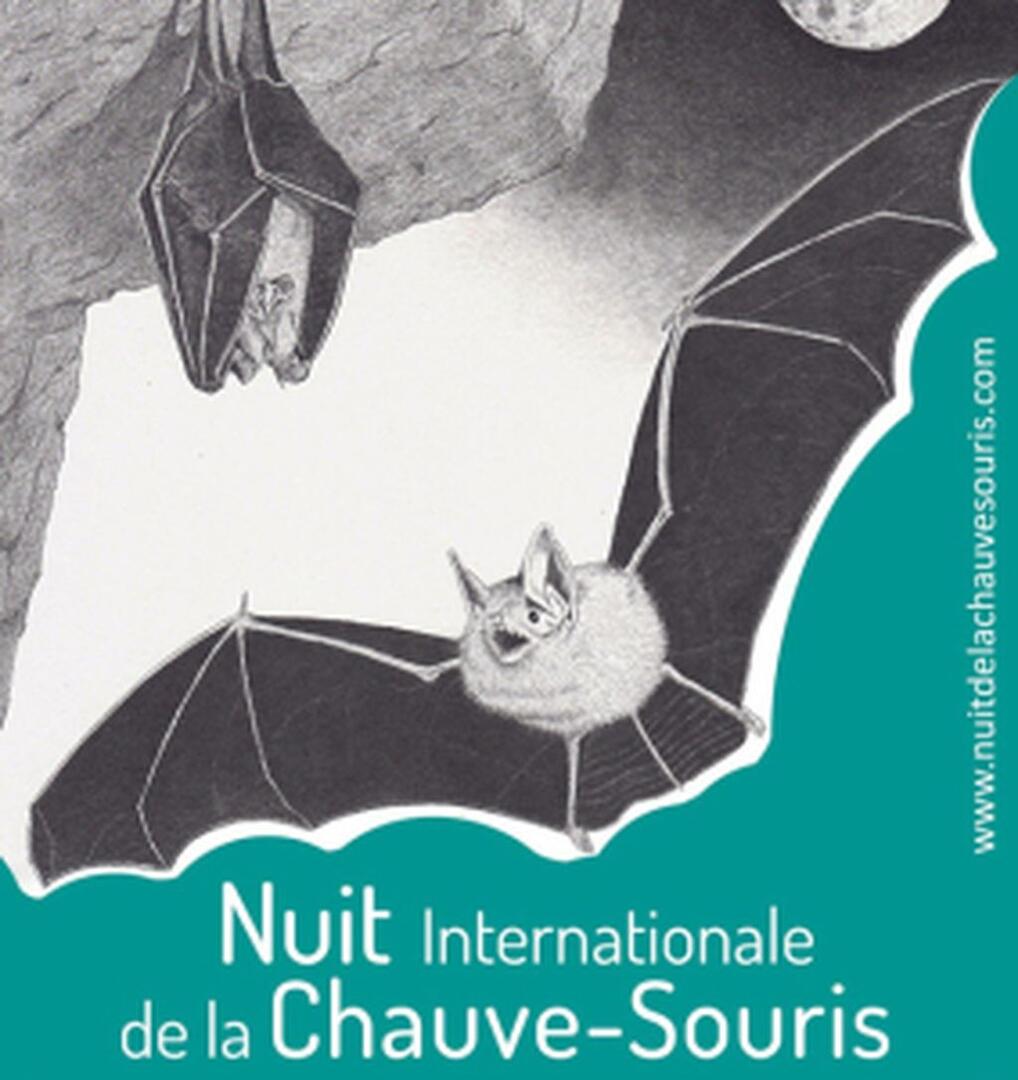 Nuit de la Chauve Souris