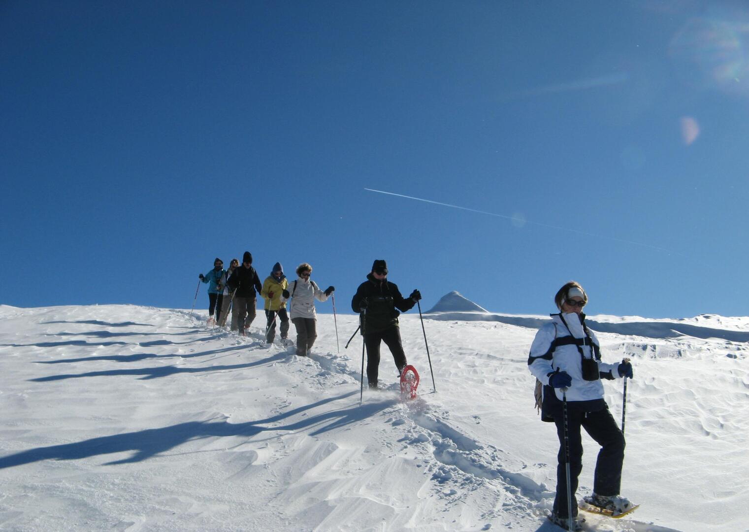 Sortie raquettes à neige