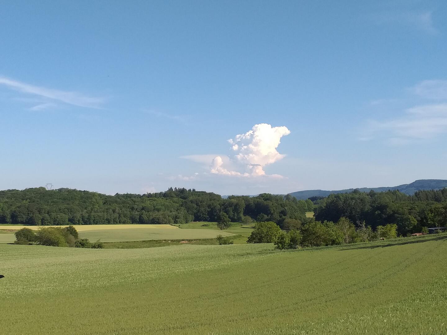 CX1 - La Motte Castrale des Brissaud