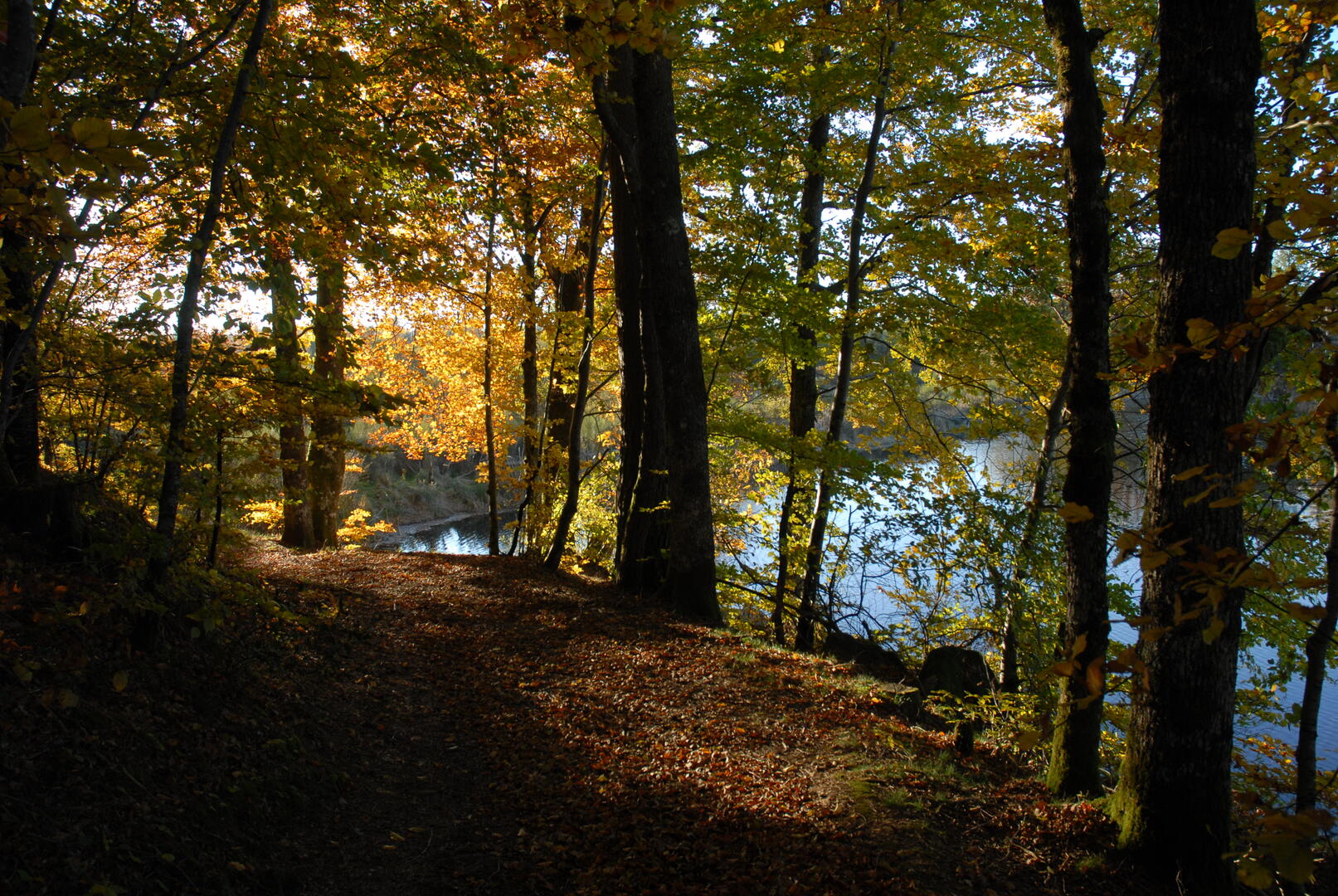 Paysage automne_JeanBoinet