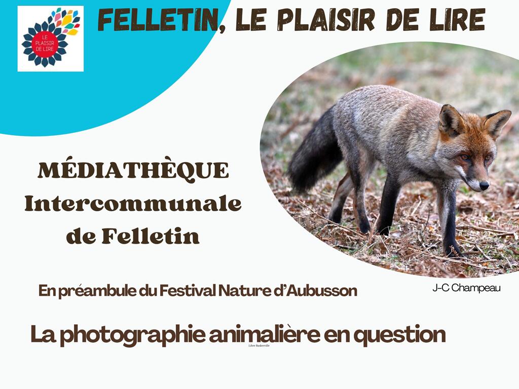Photographie animaliere