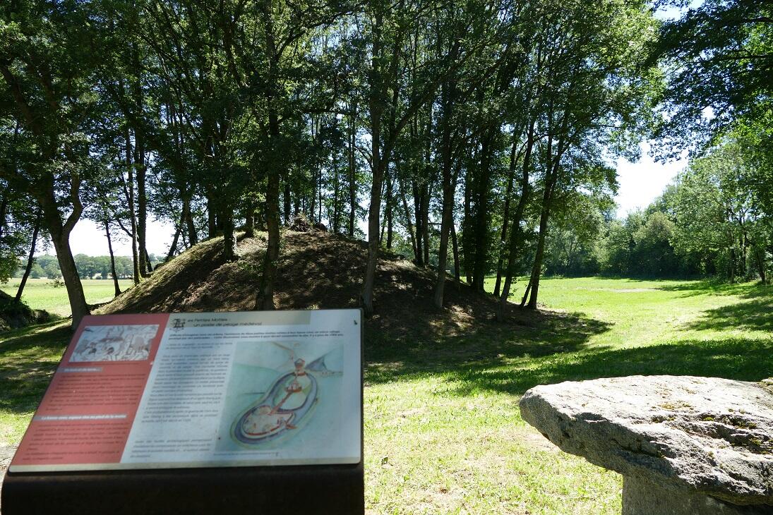 SAINT-DIZIER-LA-TOUR_Mottes castrales de l'An Mil_La Tour ©MCA (3)