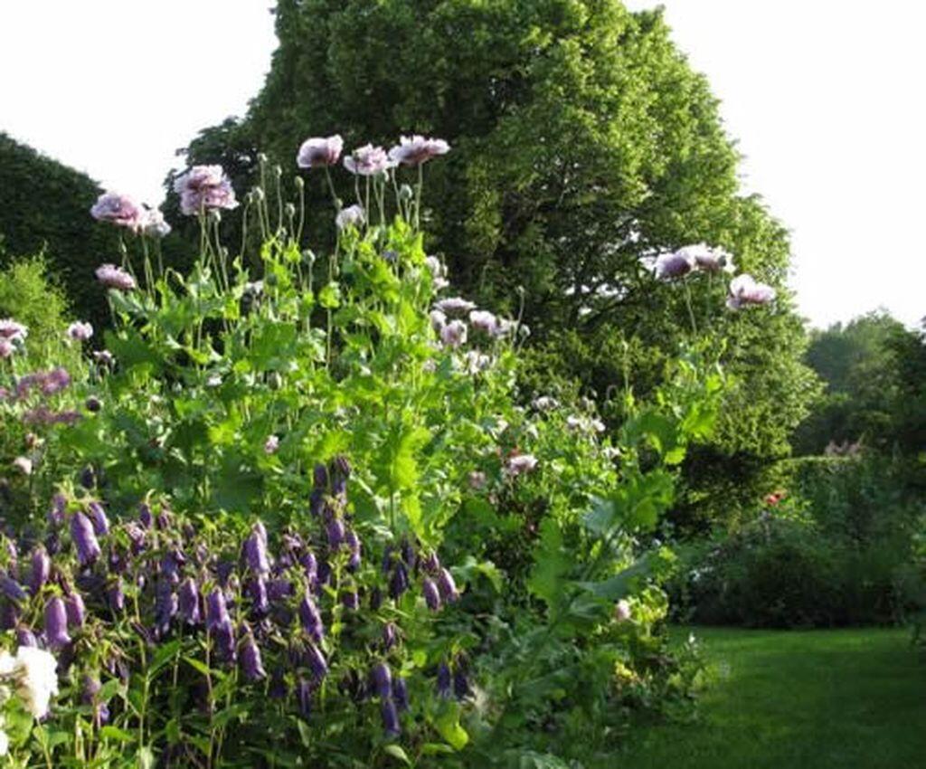 Un Jardin dans la Sagne