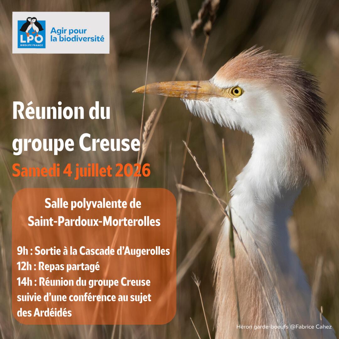 Sortie LPO