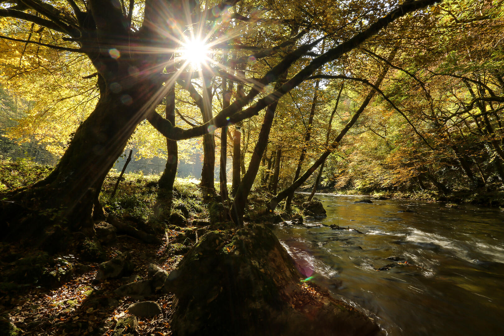 St_hilaire_foissac_nature-2016 (4)