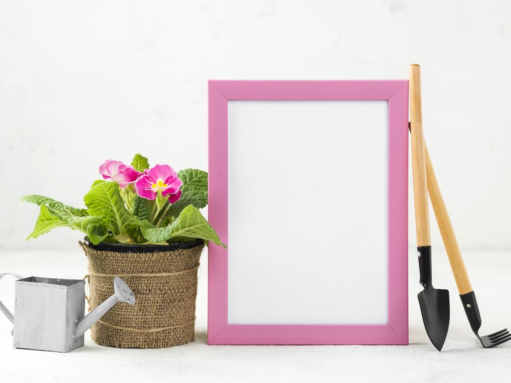 Vide Deco Jardin