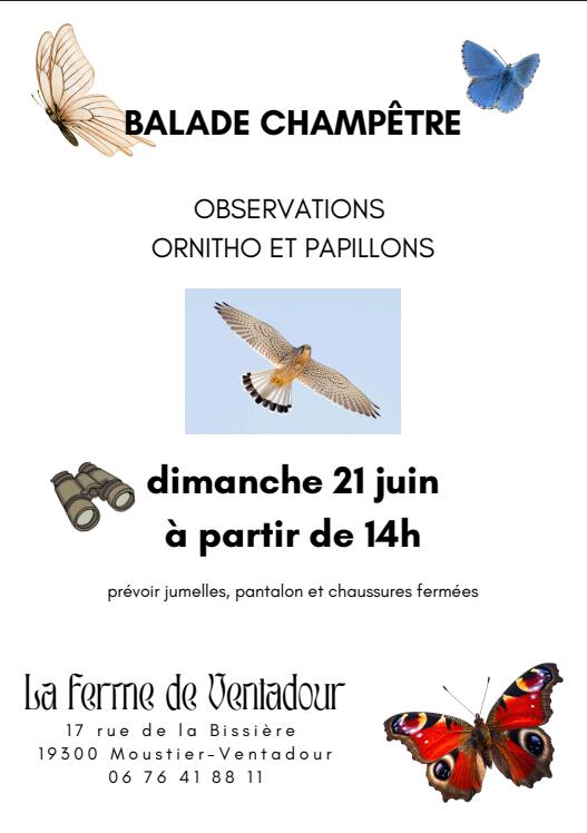 balade champetre