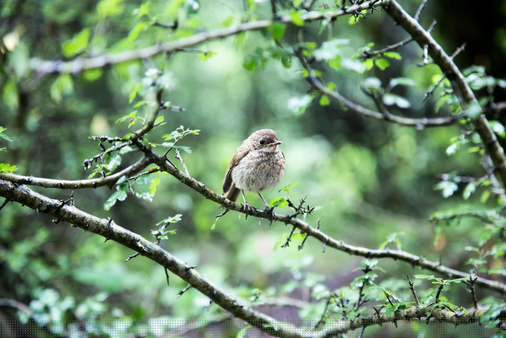 bardia-hashemirad-HV96oPiv_2g-unsplash