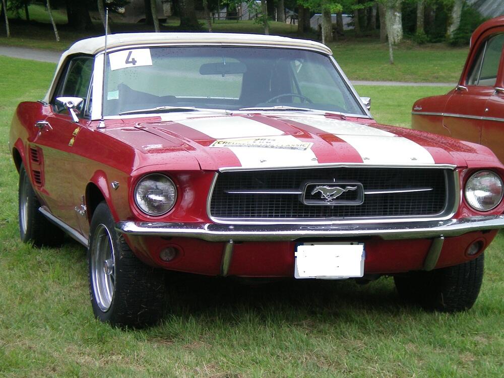 cREUSEKISTAN 2014 (3)