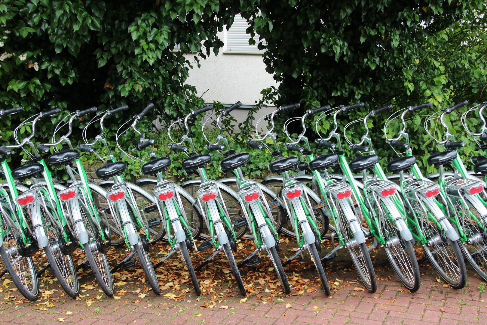 Location de vélo