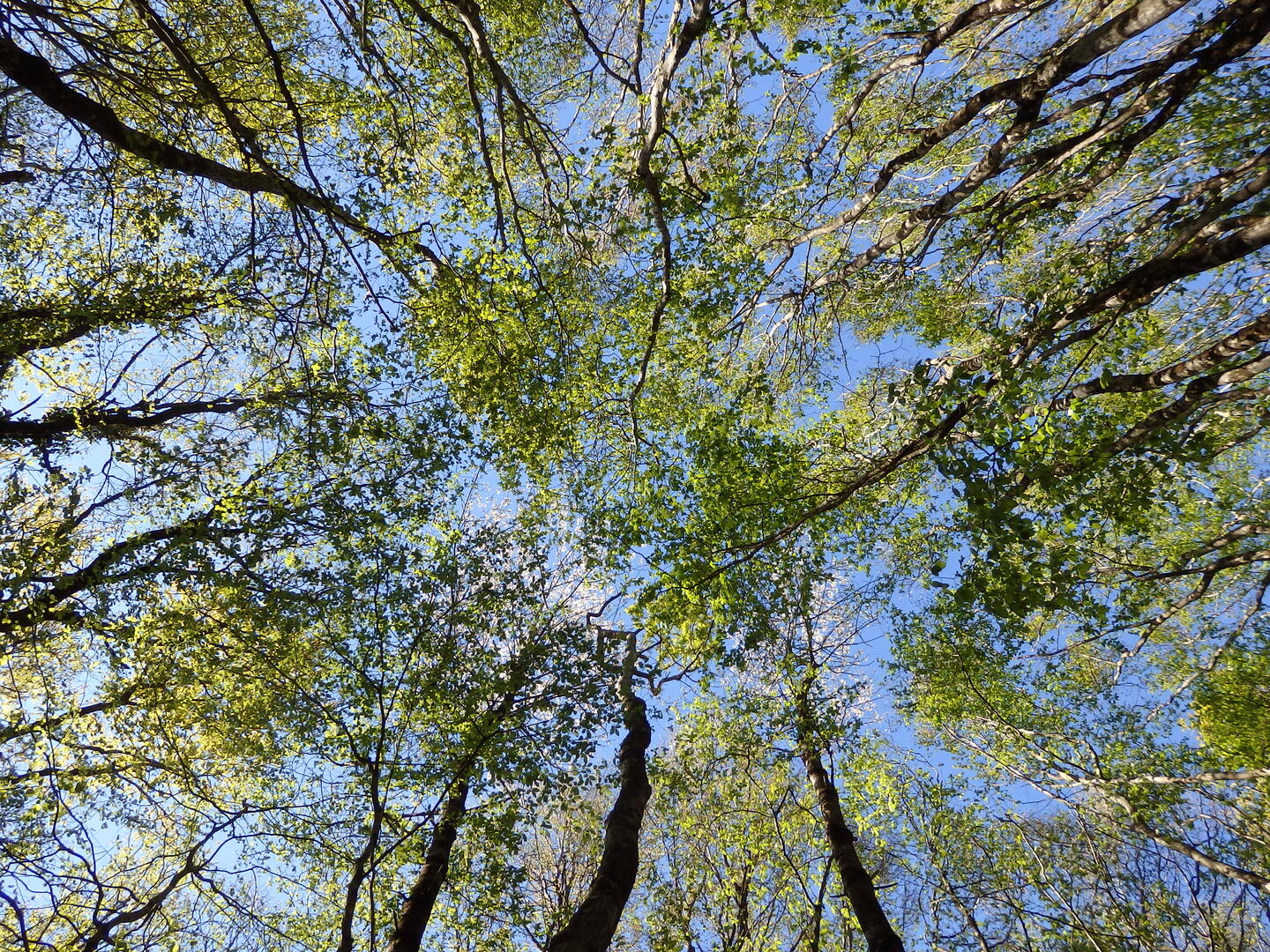 image pr pub Poitou-Rille-P4196315