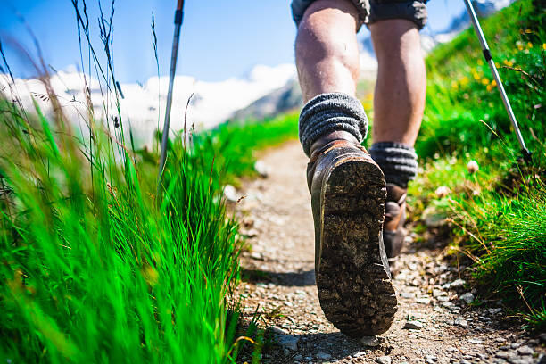 istockphoto-528494459-612x612