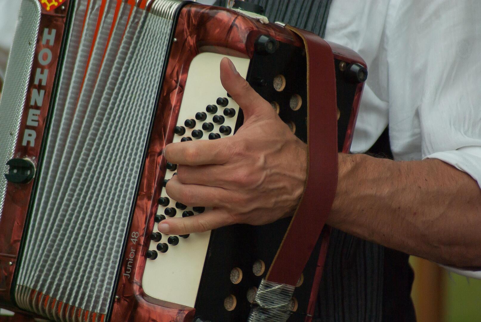 jackmac34-musician-2370079_1920