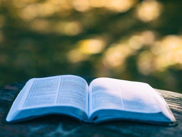 livres Pixabay