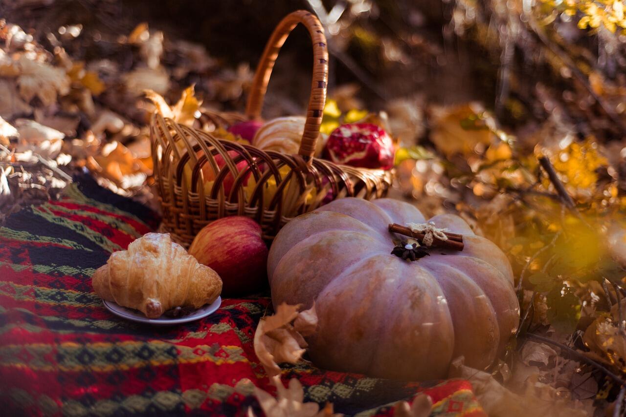 picnic-5689804_1280