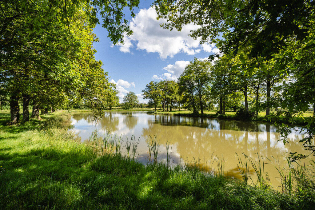 Plan d'eau Saint-Rémy