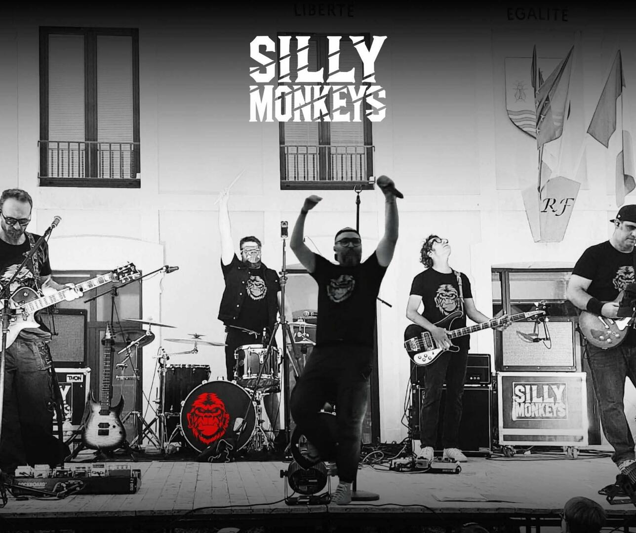 silly monkeys