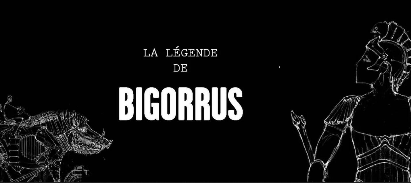 03-14 Vic-en-Bigorre Expo