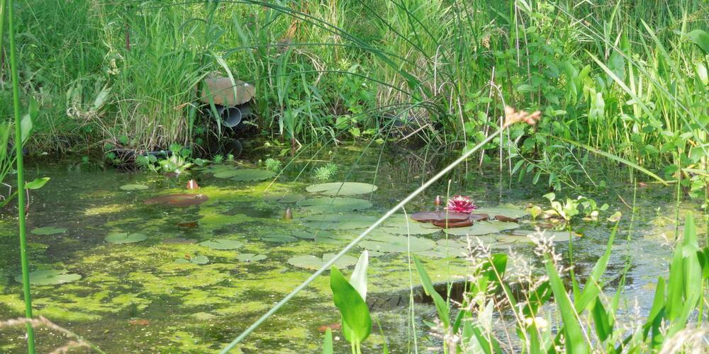 04-29 Riscle atelier nature