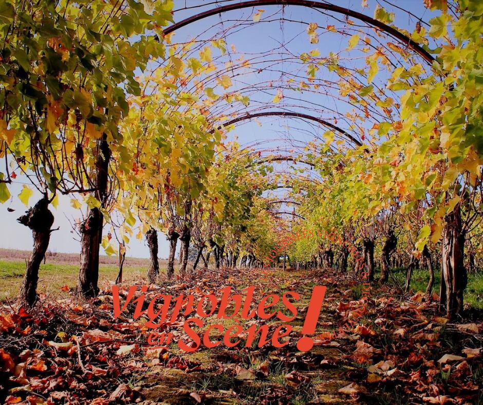 10-19 Vignobles en Scène - Chateau Viella