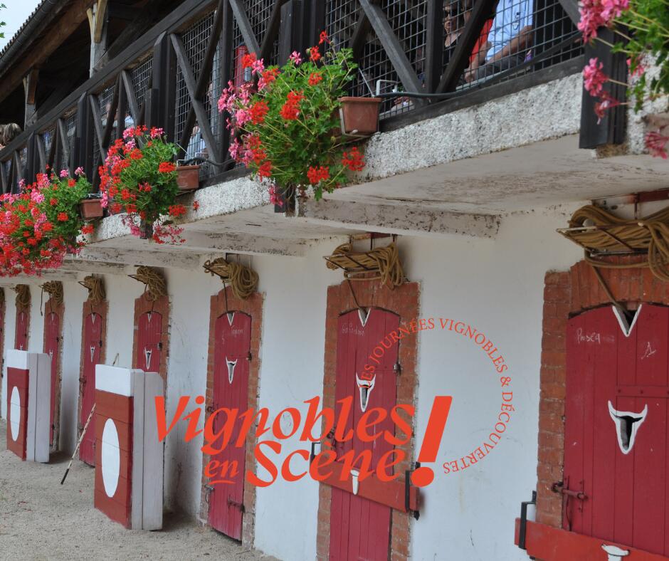 10-19 Vignobles en Scène - La Saubolle