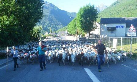 transhumance soulan