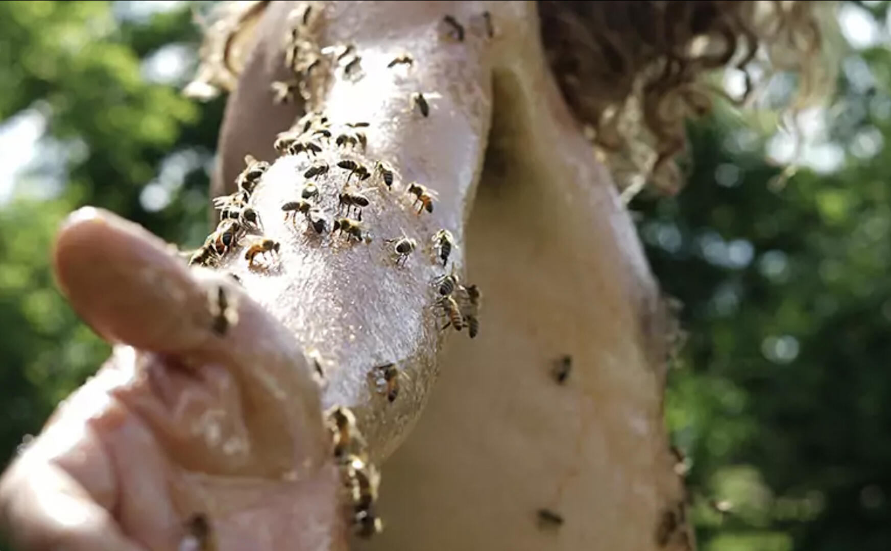 yoga des abeilles