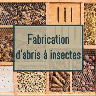 Affiche - VG