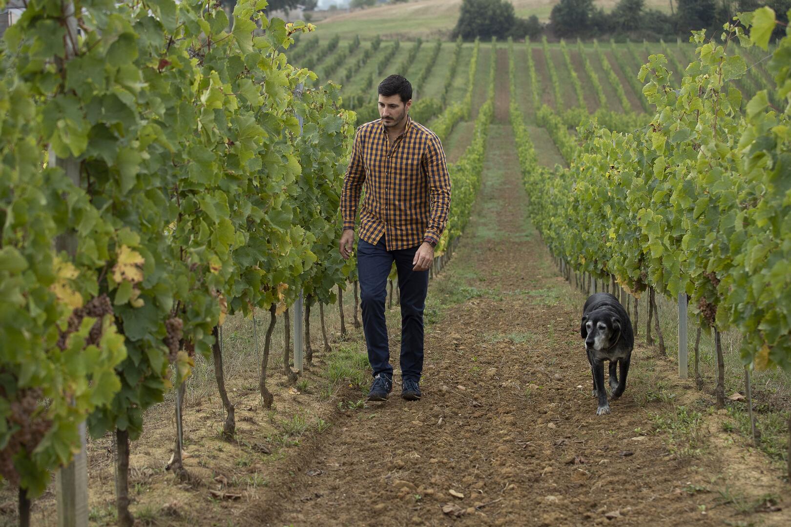 Vigneron @Chateau Pouey