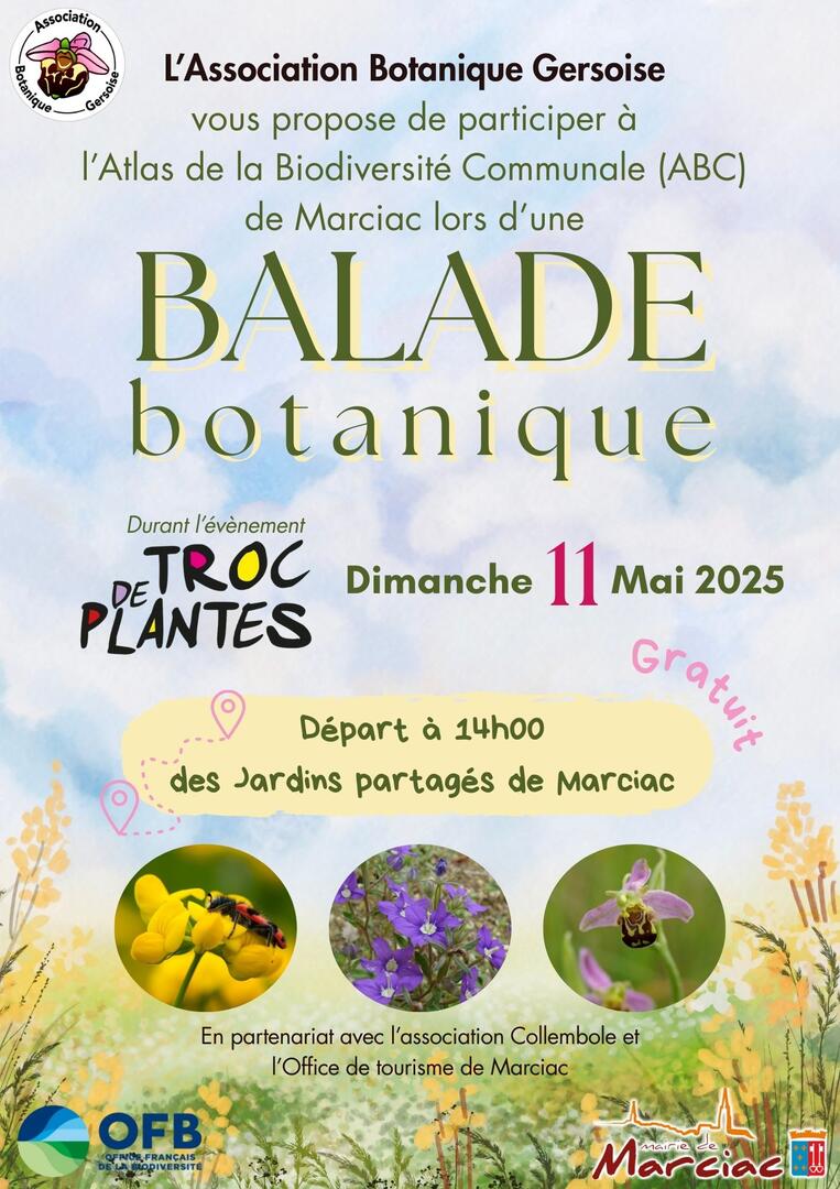 Dimanche - 1