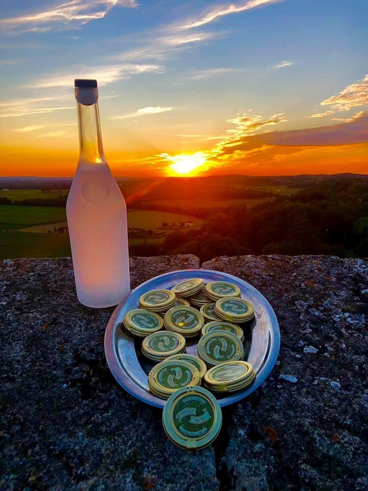 Dégustation au sommet Termes d_Armagnac