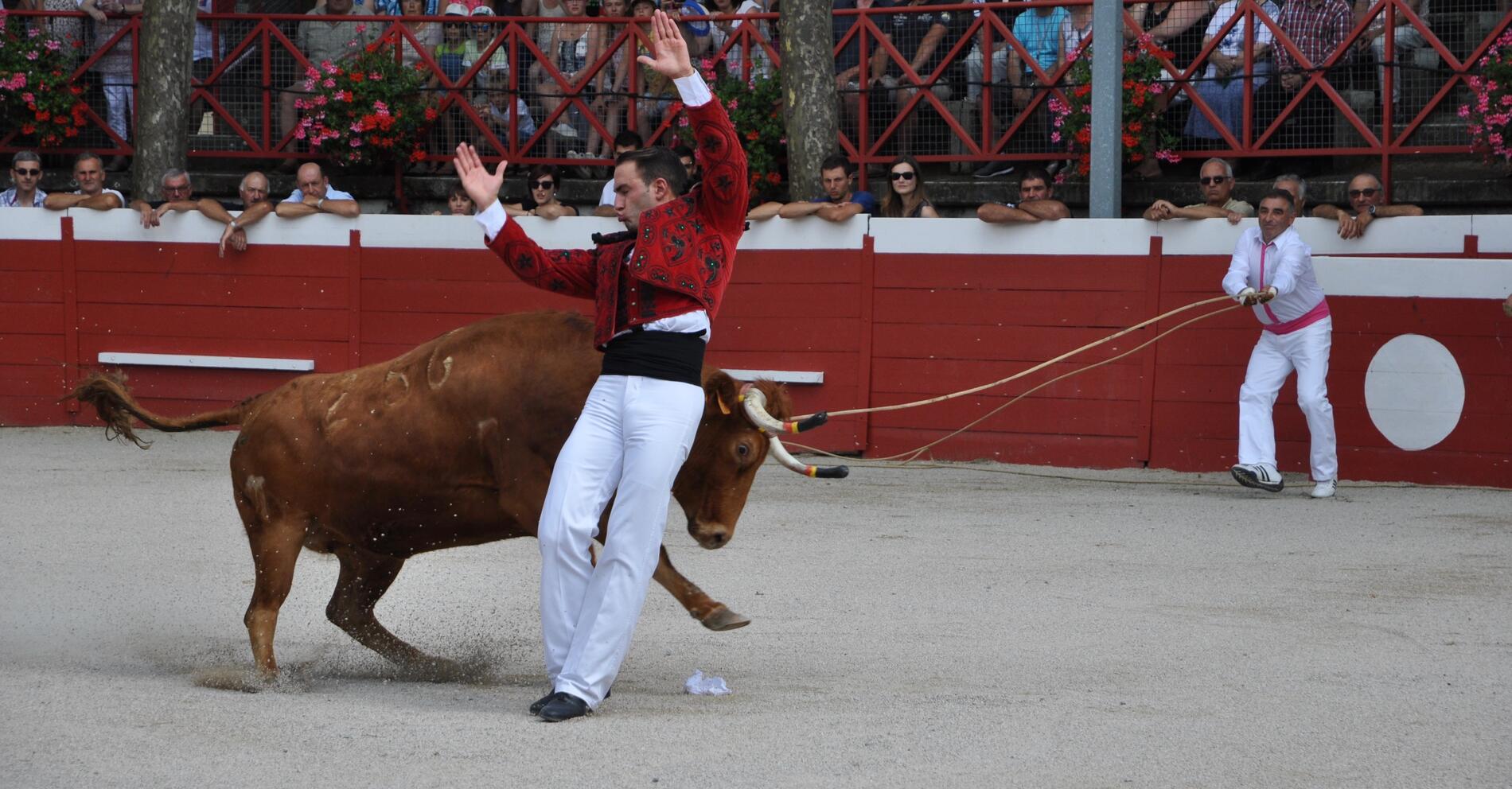 Course landaise