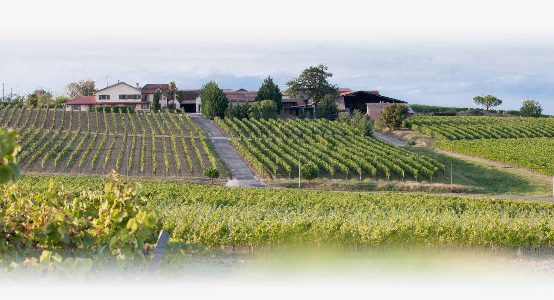 Domaine © château barrejat